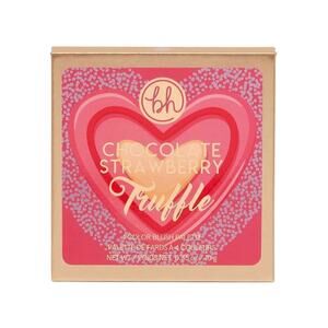bh Cosmetics CHOCOLATE STRAWBERRY Truffle 4 Color Blush Palette NWOB